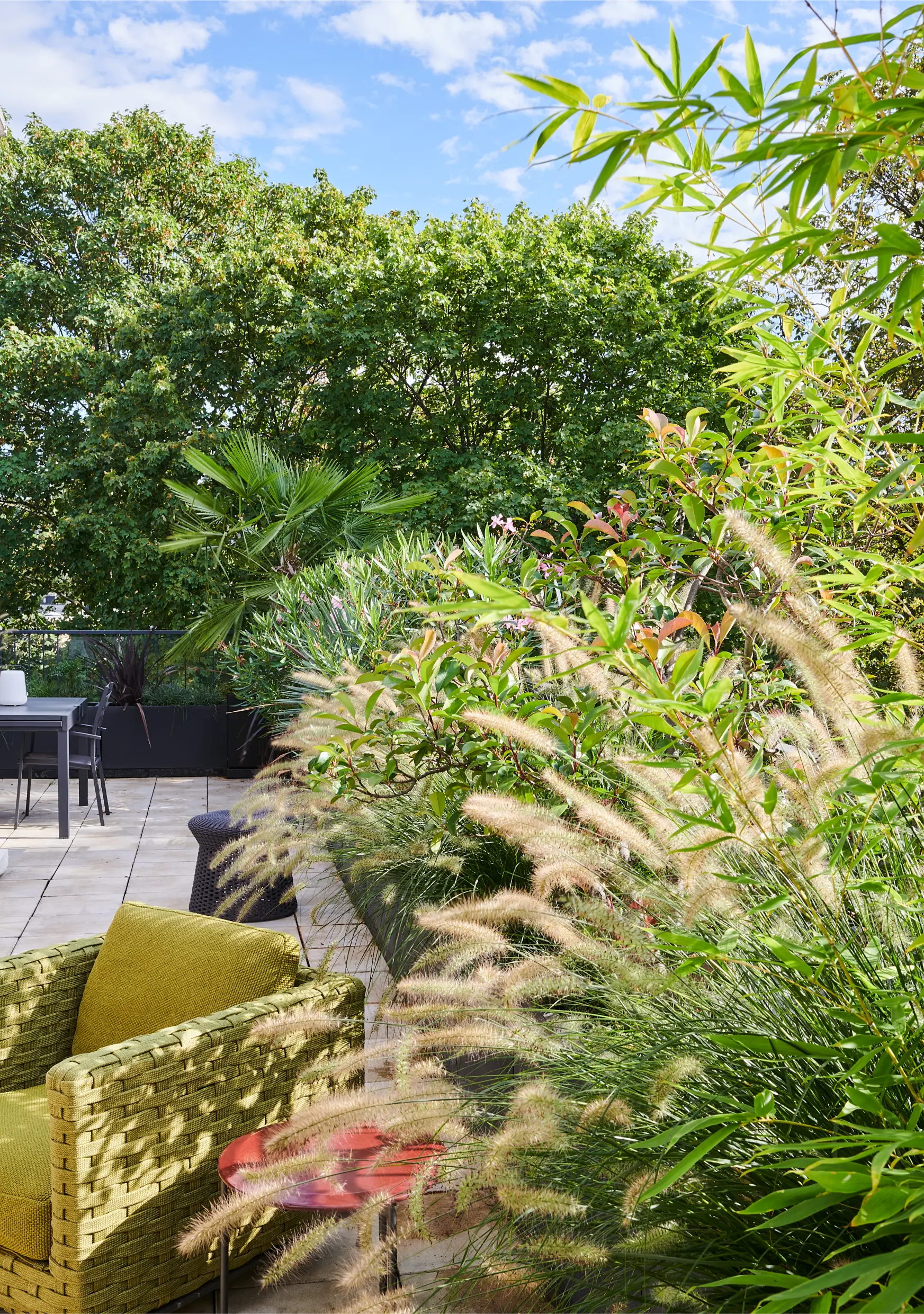 Guillaume Rogeon Appartement Meudon copyright obligatoire  D Delmas copyright obligatoire  D Delmas087_27